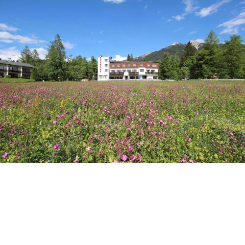 Hotel Berghof