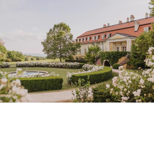 Hotel Château Bela