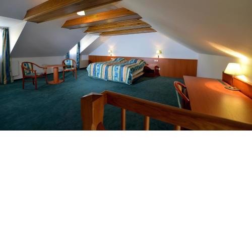 Hotel Dvorak