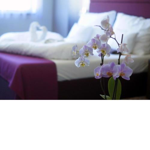 Hotel Fitromax Ajka