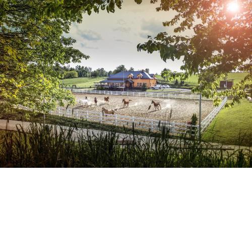 Hotel Horse Riding - Jezdecký Areál Tršice
