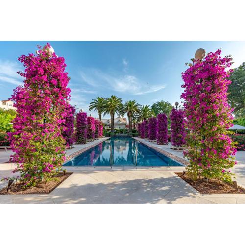 Hotel Lemongarden - Adults Only