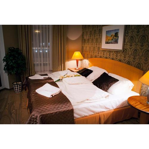 Hotel MCM Plus