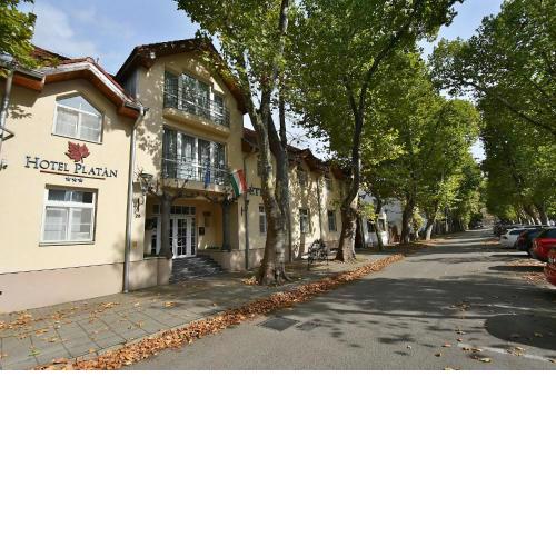 Hotel Platan