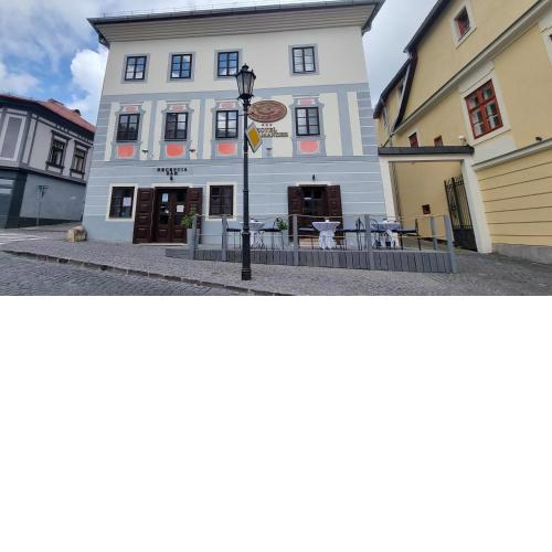 Hotel Salamander - Garni
