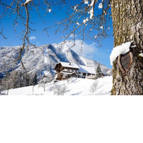 Hotel Sonnfeld