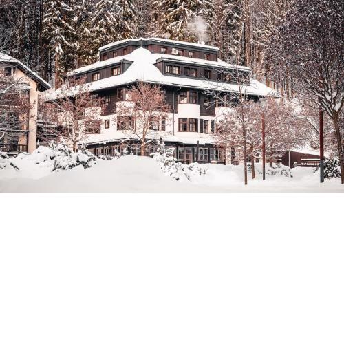 Hotel Soyka
