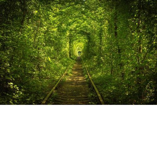 Hotel Tunnel of Love