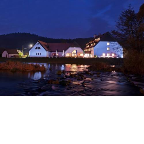 Hotel Vír