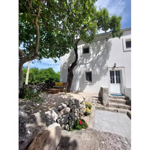 House Belej - Lola