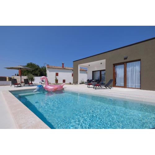 House Bronzin