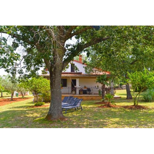 House Cocaletto 2174