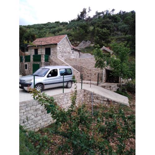 House CVITINA