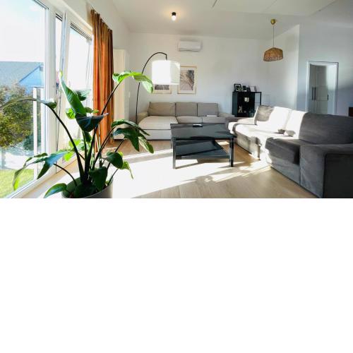 House FLOW, 3 room with terrace, free 2 parking