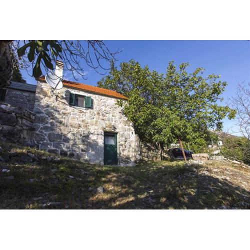 House Gordana