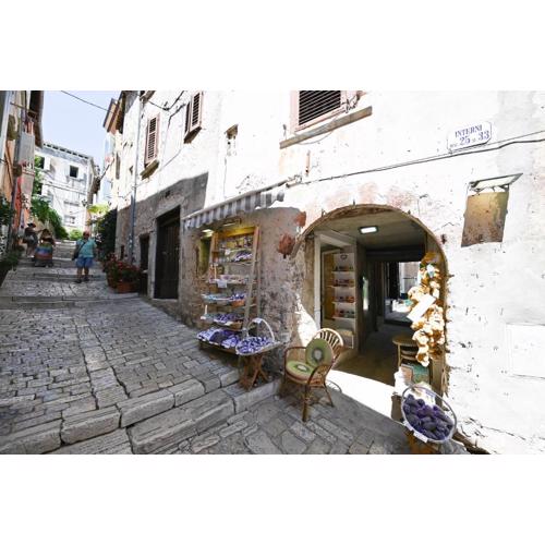 House Grisia 33