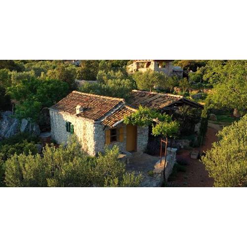 House Kadulja