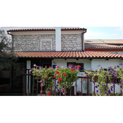 House Kamenjak