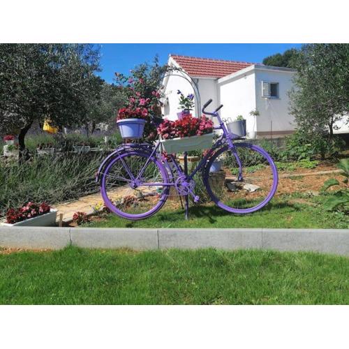 House Marie?s Lavander Dream