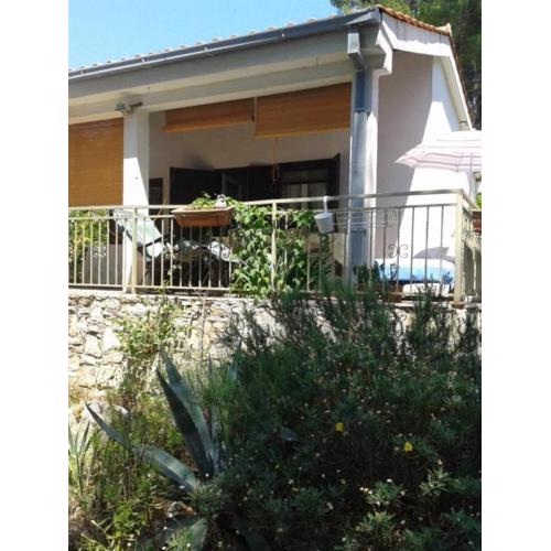 House More