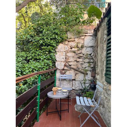 House Nenolino