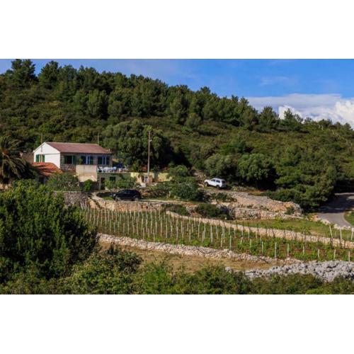 House Paradiso