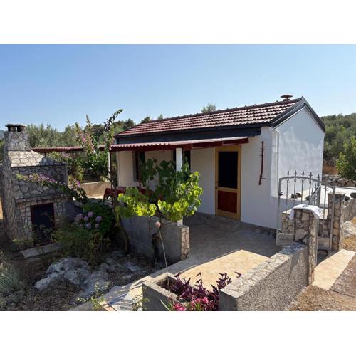 House Senka1