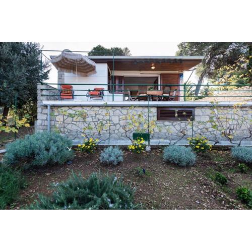 House Viki