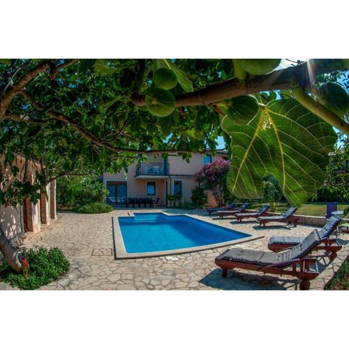 House /Villa Maja