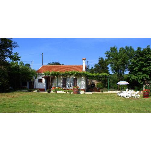 HOUSE VIOLETA