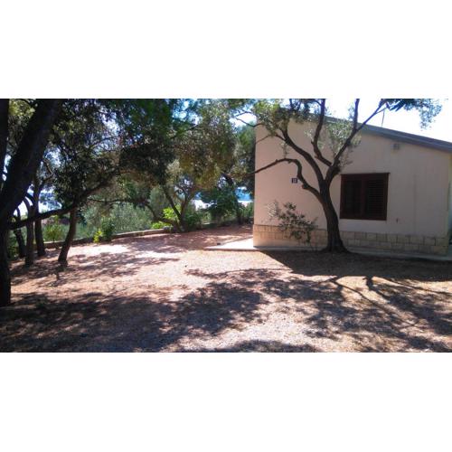 House Zlatko