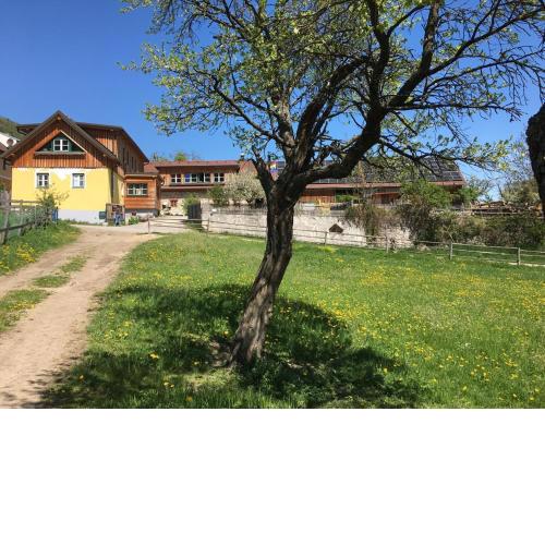 Hüdahof Niemtal