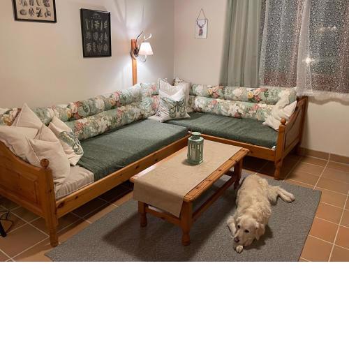 Hundefreundliche Bergwohnung neben der Skipiste - Mittelstation Skigebiet Gerlitzen