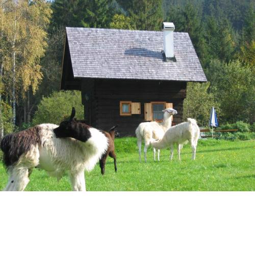 Hütte zum Verlieben