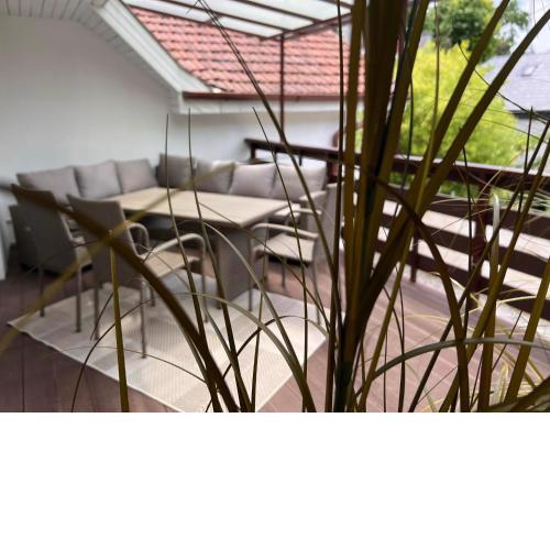 Ide Vissza Apartman