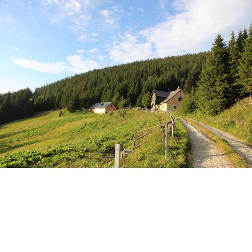 Idyllische Almhütte am Gaberl