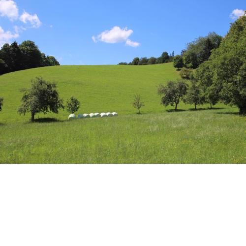 Idyllisches Haus mit Garten und Saunahütte in der Natur