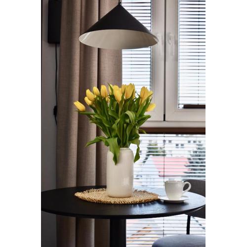 IGIS Apartament z tarasem na dachu