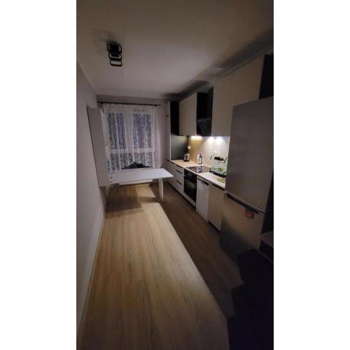 Illumina nowoczesny apartament 50m2, spokojna okolica, 25min do centrum