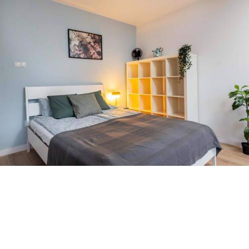 Indigo Studios Pge Narodowy