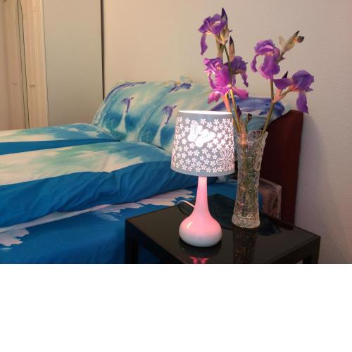 Írisz Apartman Budapest