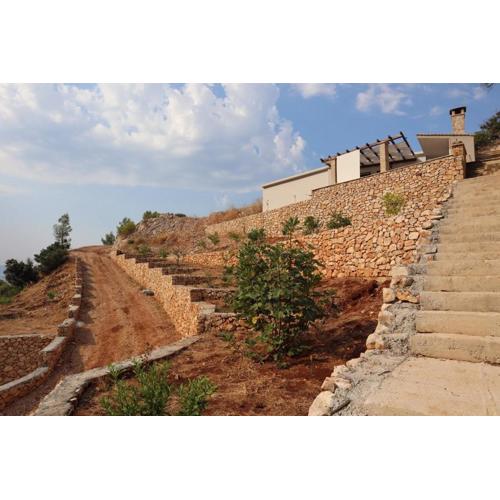 Isolated apartments with a parking space Cove Medvidina, Hvar - 22019