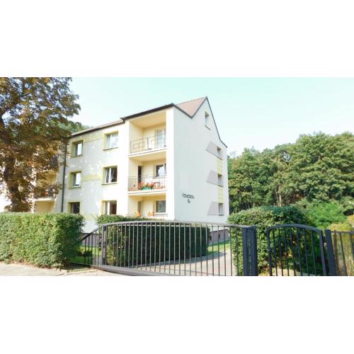 Ivihouse