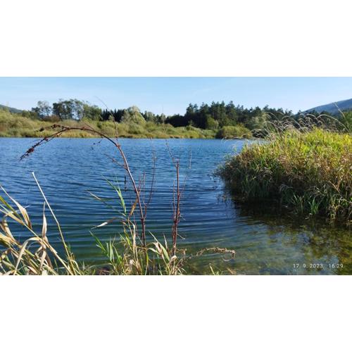 Izvor