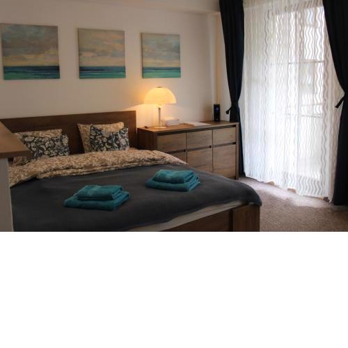 Jáchymov Blue Apartment