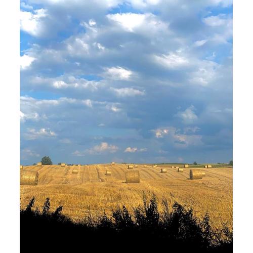 Jak Tu Ładnie - Osada i Siedlisko
