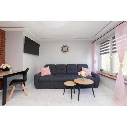 Jasne Studio Pet-Friendly w Łebie by Noclegi Renters