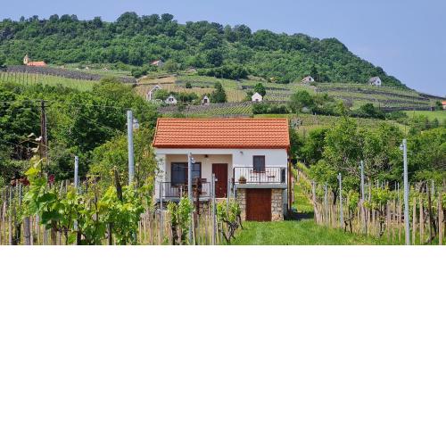Jera Pince és Vendégház