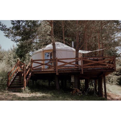 Jurty z widokiem, prywatna balia- DZIKOLAS GLAMPING