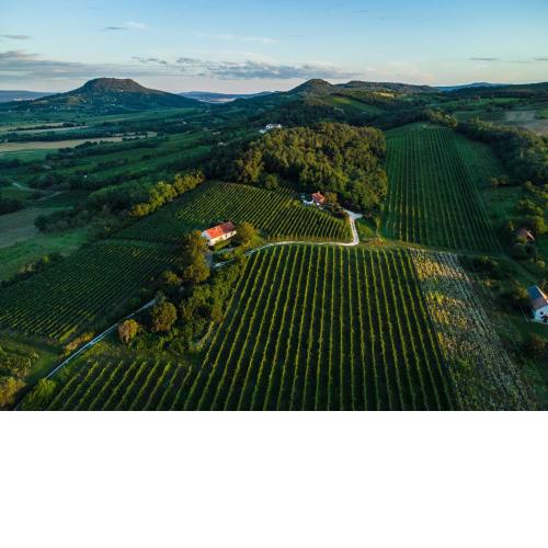 Káli Panoráma Birtok